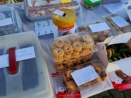 b_1024_768_0_00_images_2022_2023_DD2023_IMG-20230601-WA0017